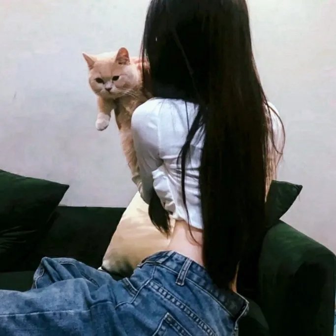 完美陌生人